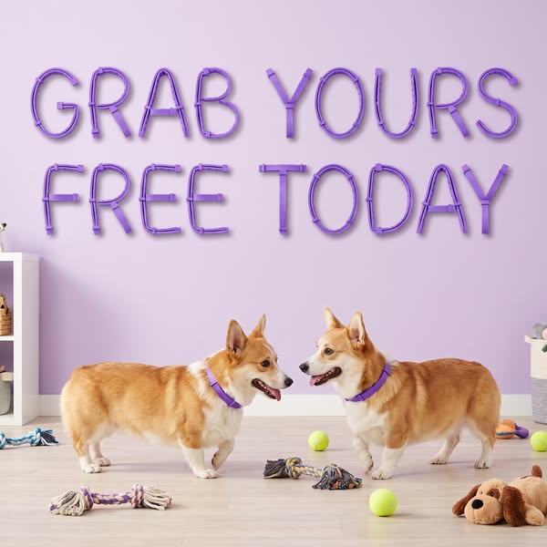 Free Today (Shipping Fee Applies)