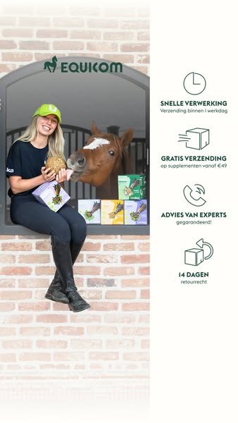 Bestel vandaag