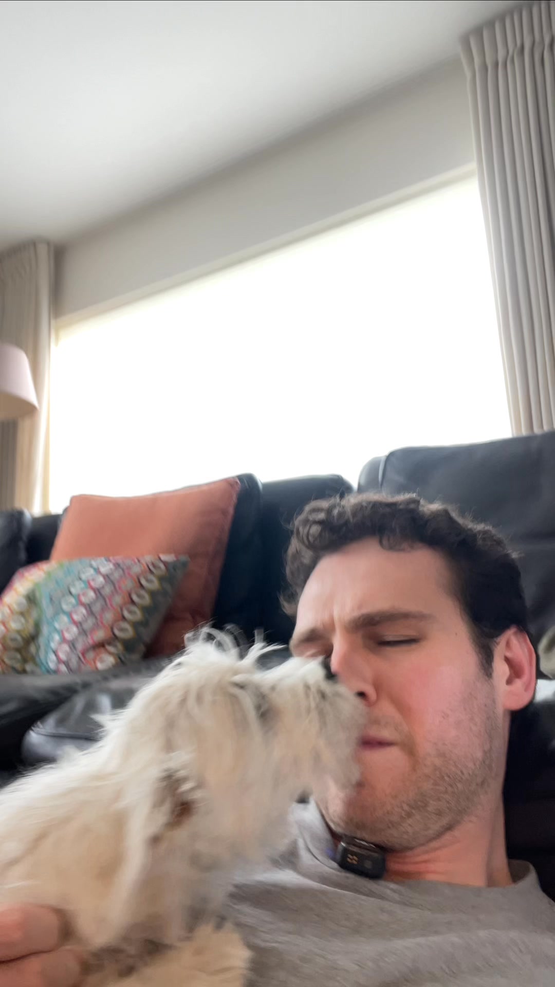 Waarom stinkt de adem van je hond écht?
