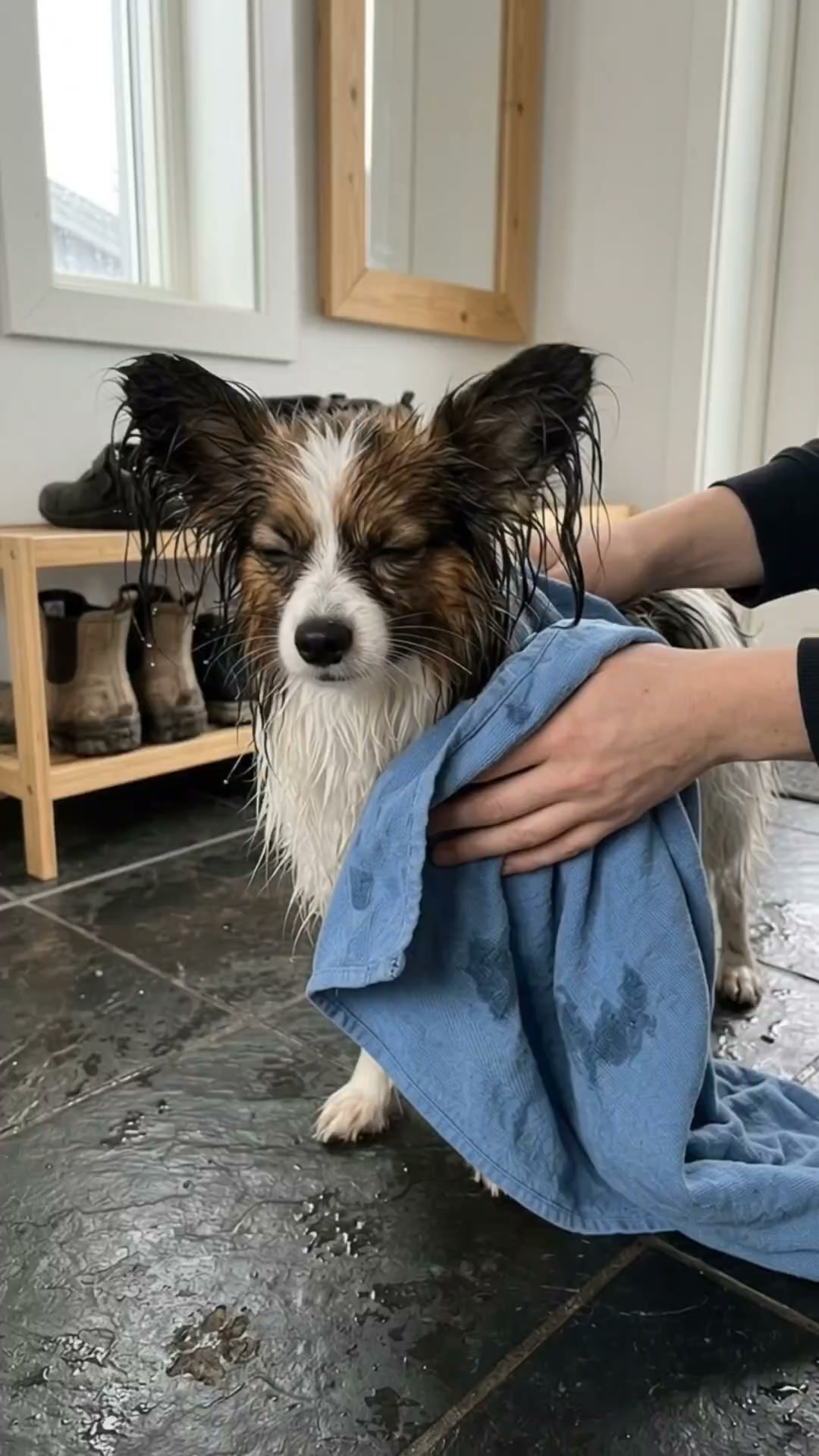 Badrocken sitter kvar när hunden rör sig