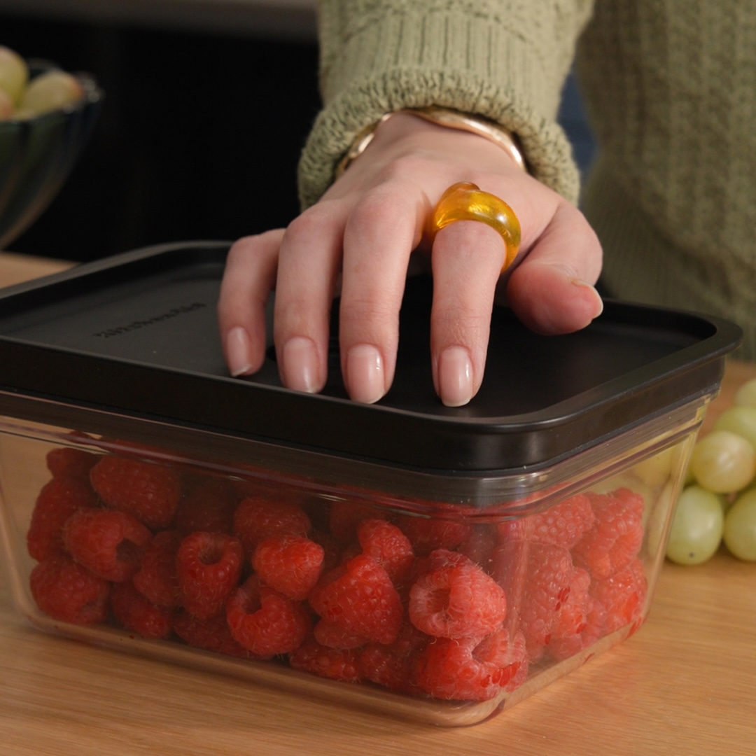 Introducing the Go Handheld Vacuum Sealer
