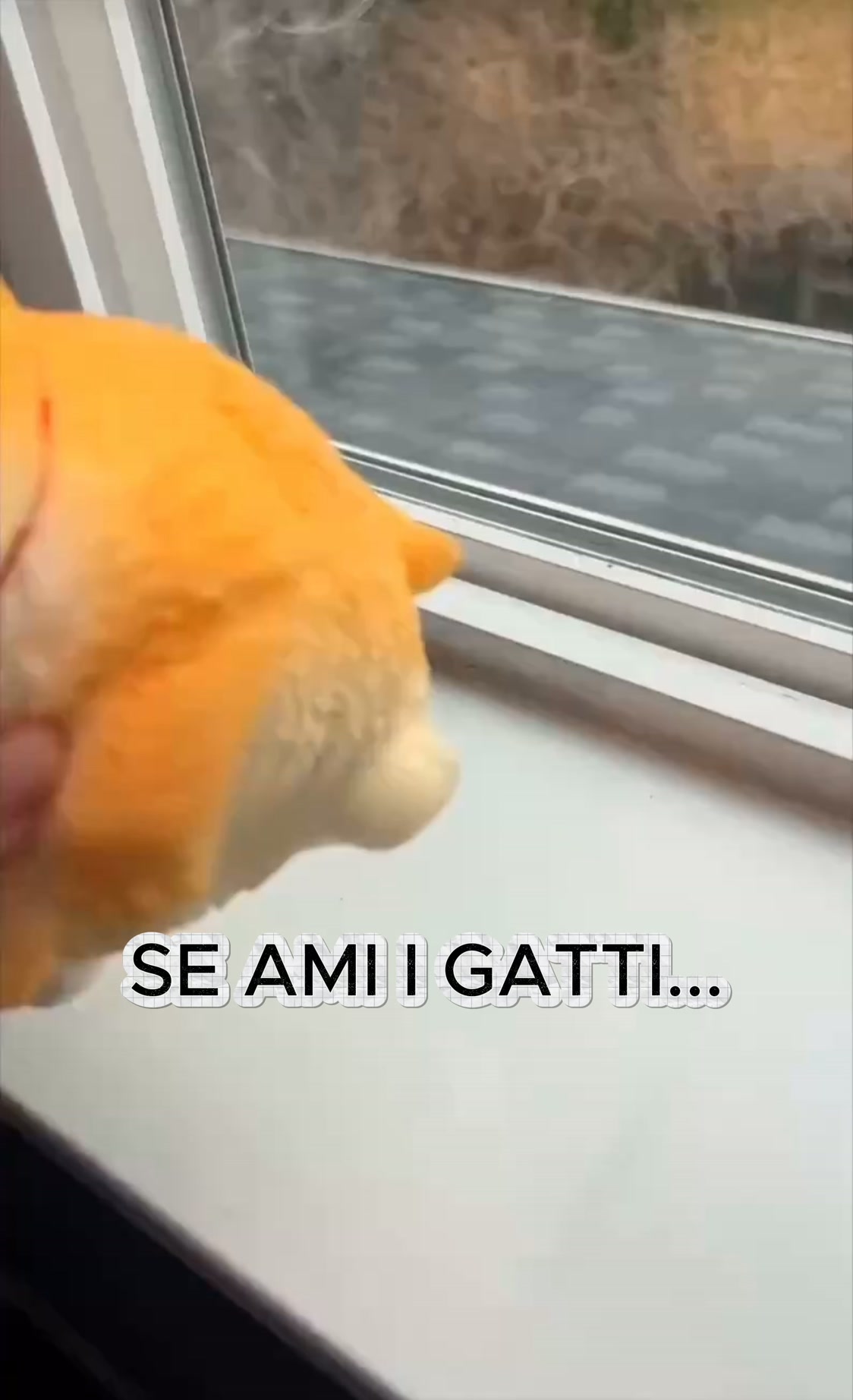 Mochi™ - Gatto Squishy