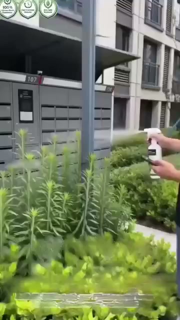 Want a weed-free garden? Try our handy weed removal spray