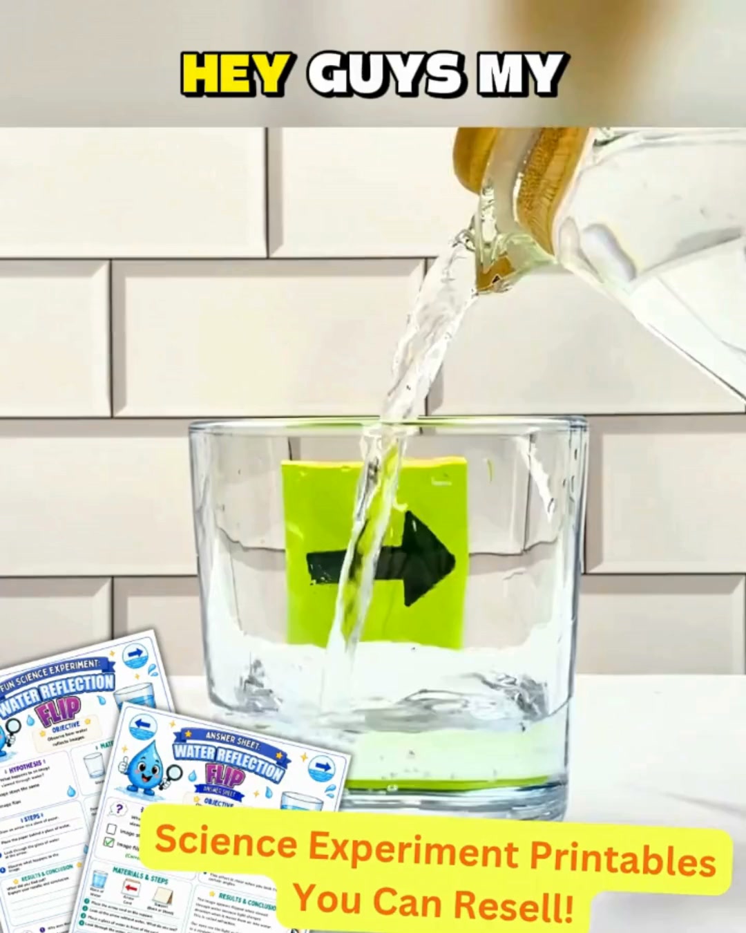 53 Science Printables Ready to Sell!