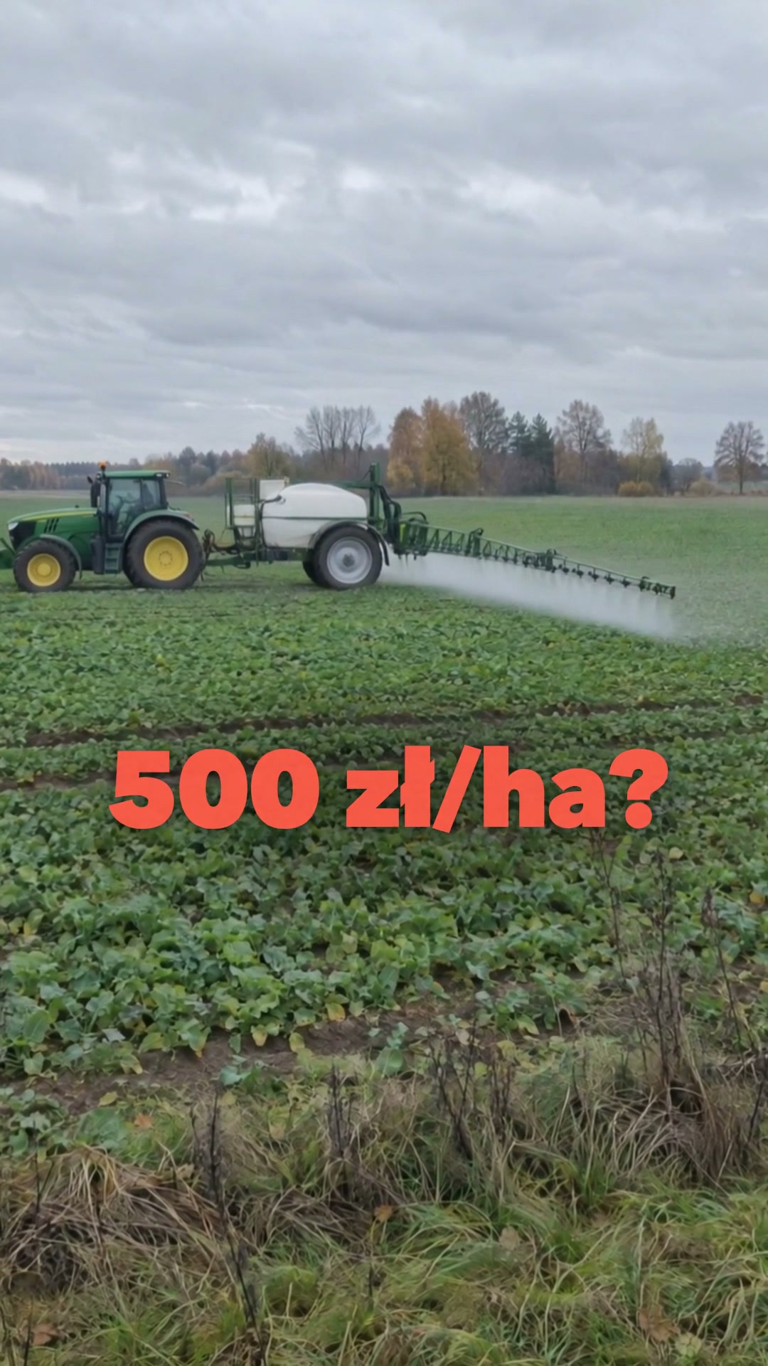 Poniżej 80 zł netto za hektar
