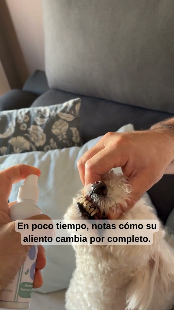 Envío Gratis. Entrega 24-72 horas