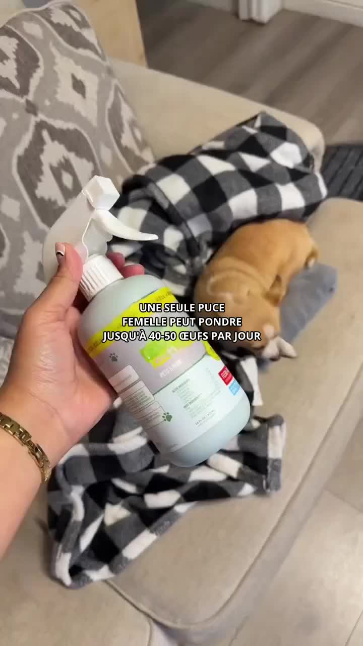 👉👉👉👉👉