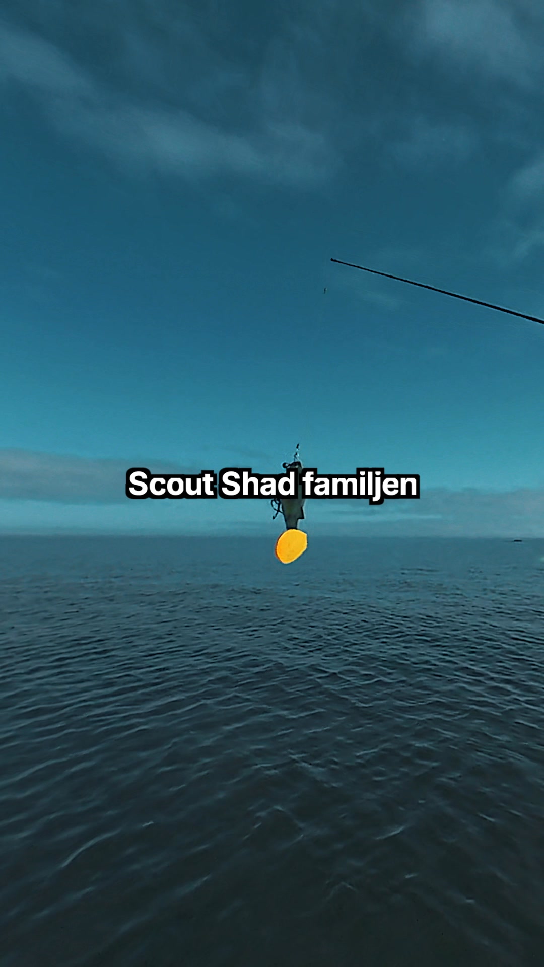 Glödheta och populära Scout Shad Från Söder Tackle