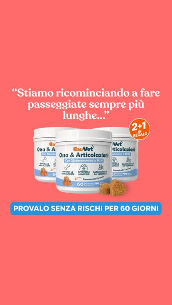 Se non funziona, ti rimborsiamo tutto