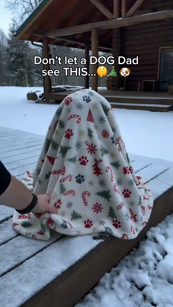 Christmas Sale 60% OFF!50K+ SOLD!Christmas Tree Pet Cape Cloak for Cats & Dogs