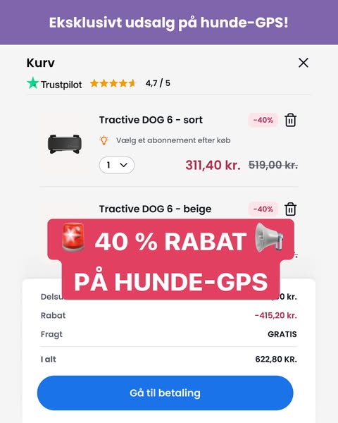 Juni-tilbud: -40 %
