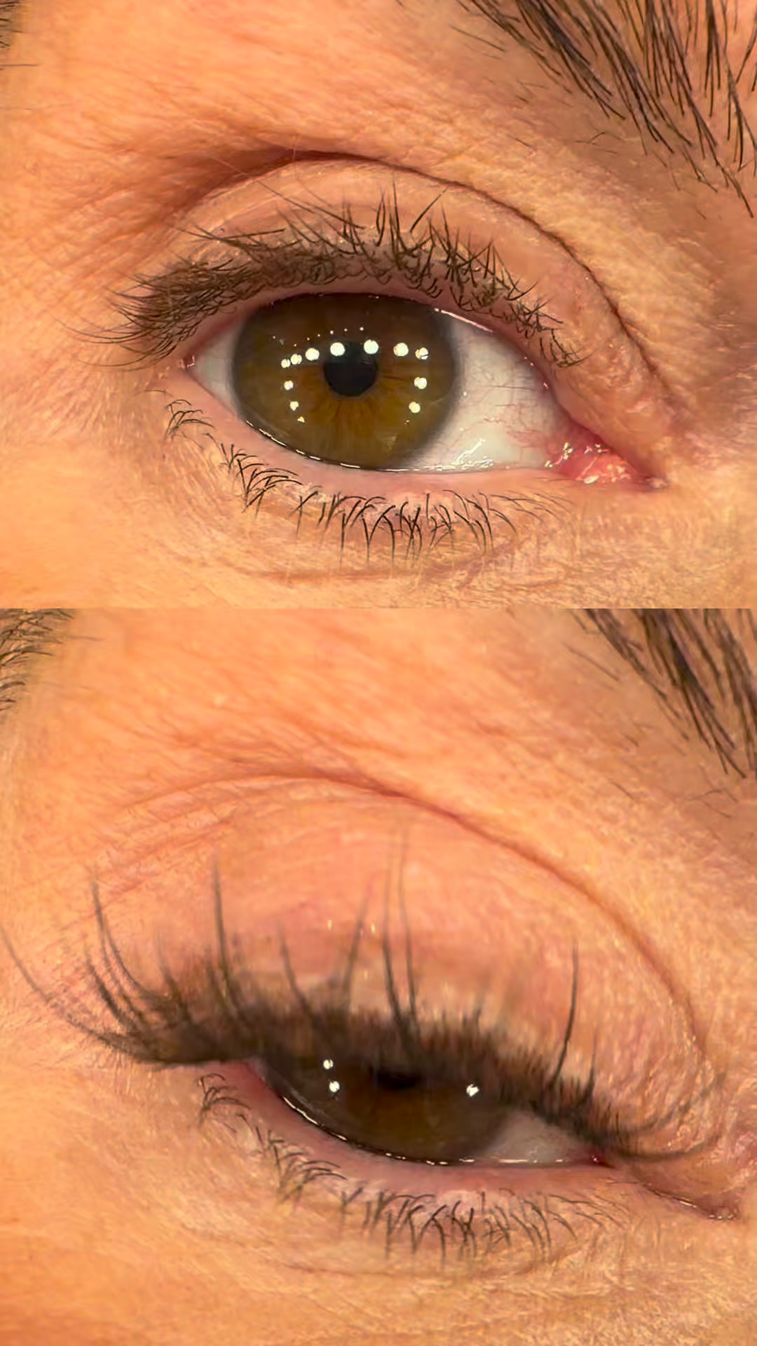 Bonded Lashes