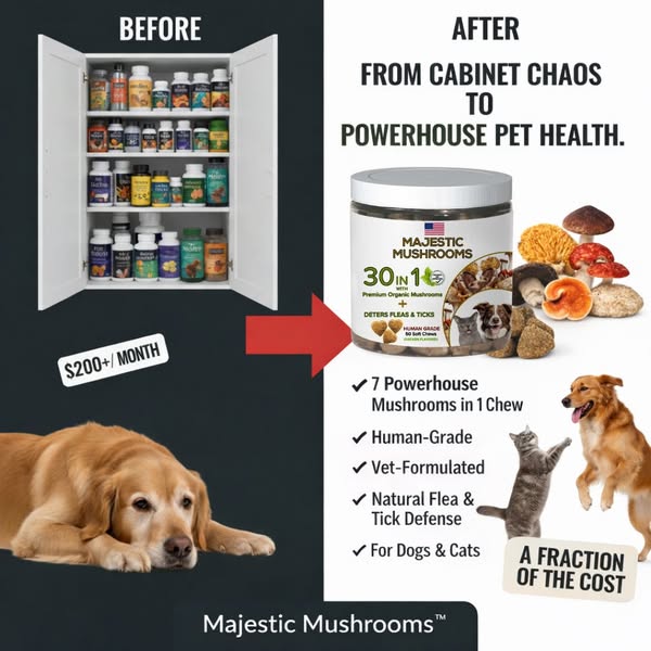 Save $$$ with Majestic Mushrooms!
