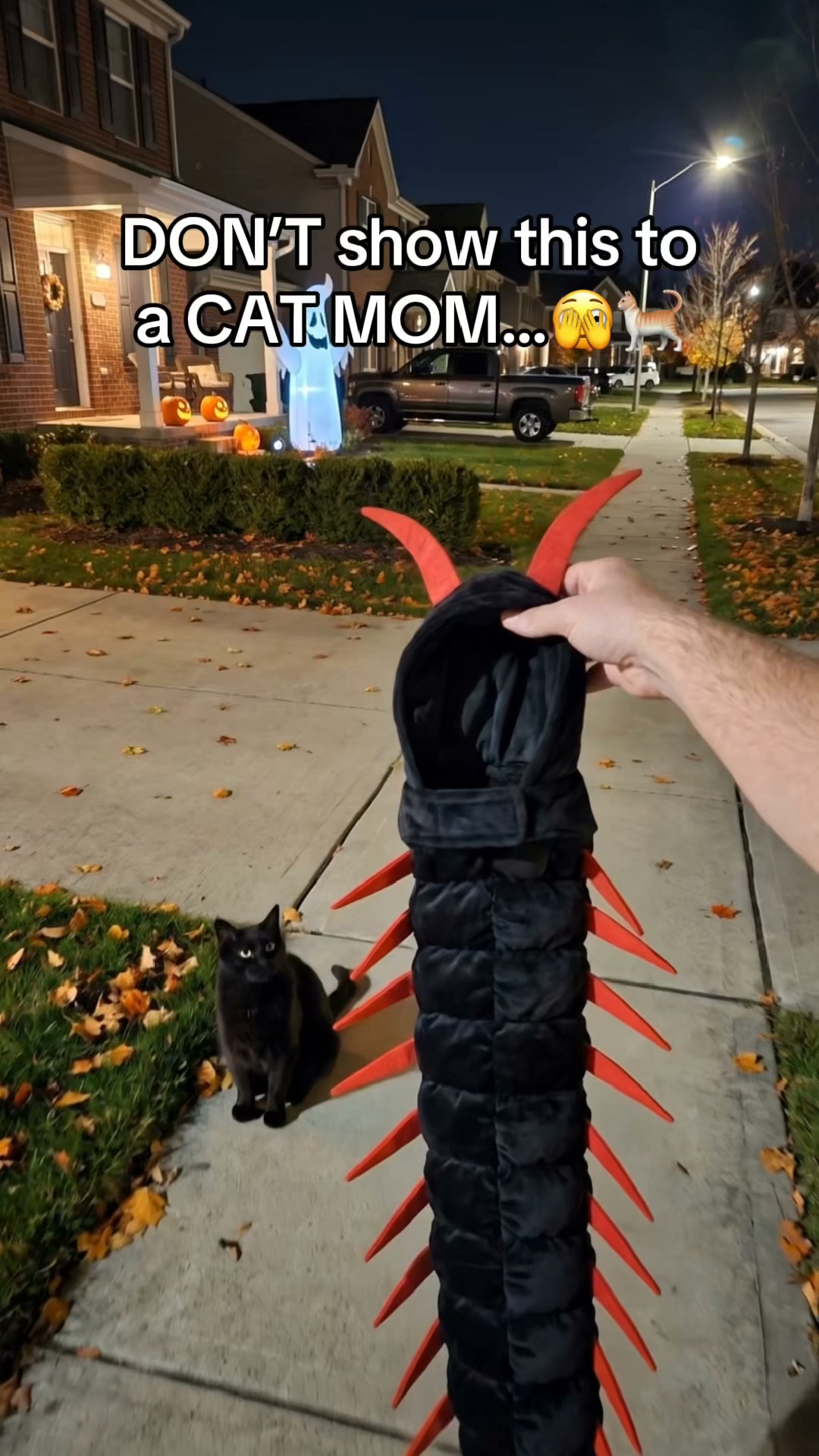 Halloween Fun Starts With Your Pet