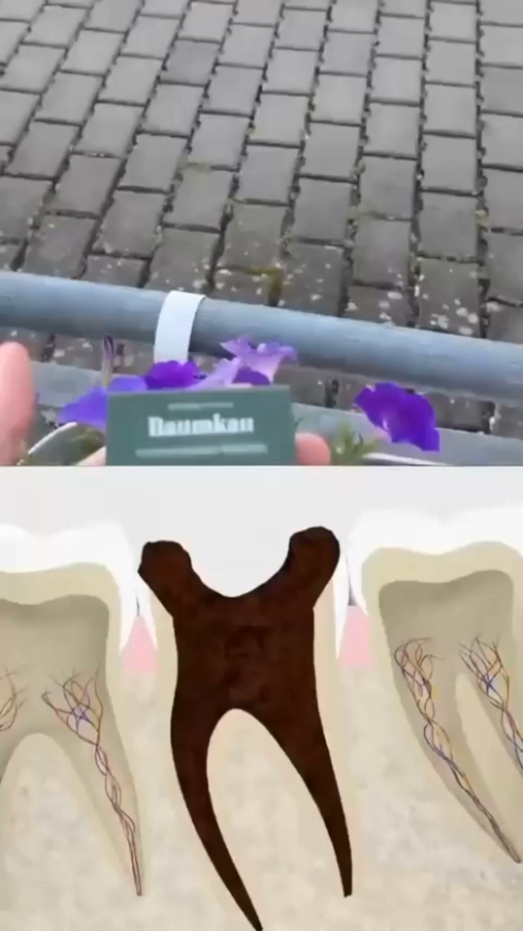 Ett tuggummi som förändrar dina tänder.