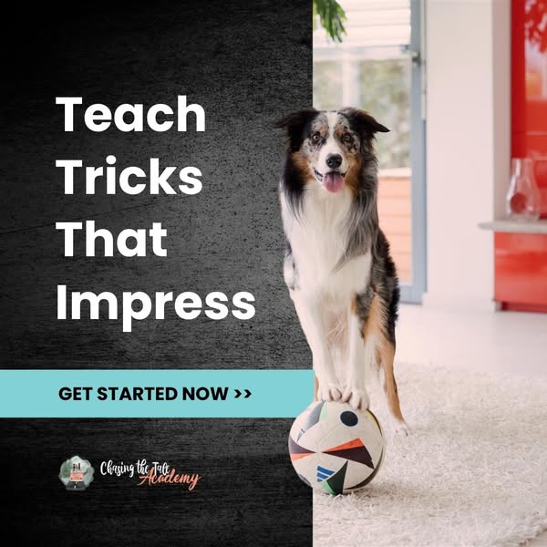 NEW: Smart Dog Tricks - $19