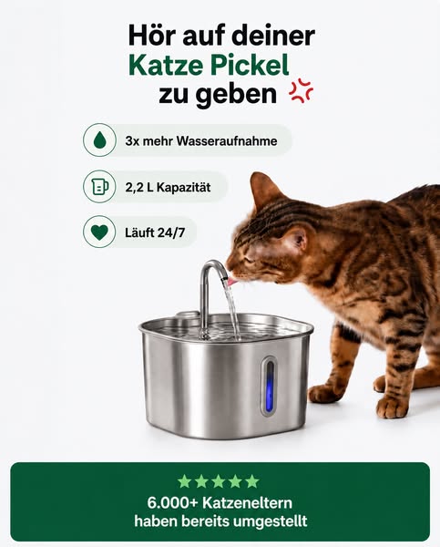 50% RABATT + GRATIS-Geschenke HEUTE