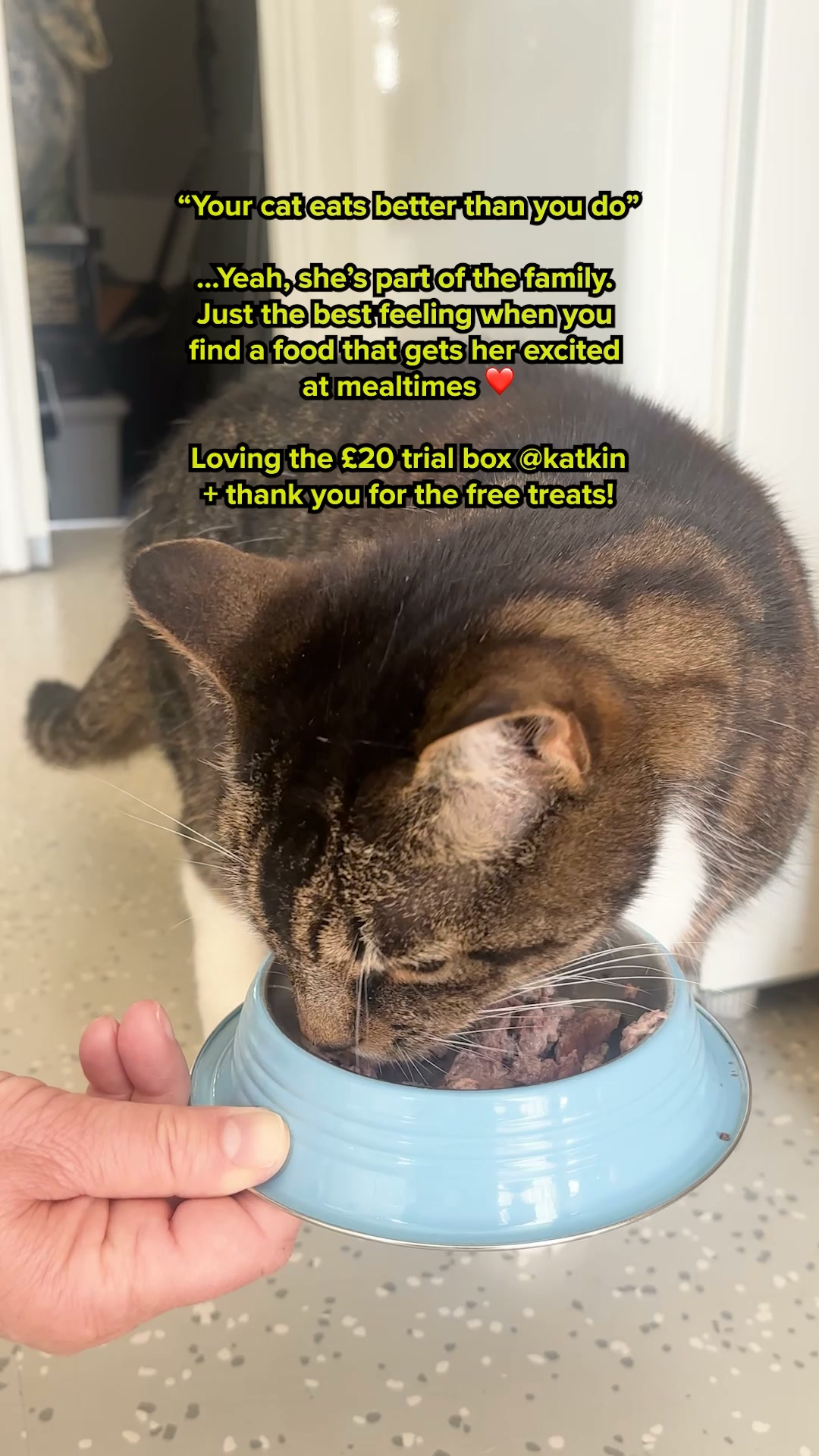 100% fresh meat for healthy cats