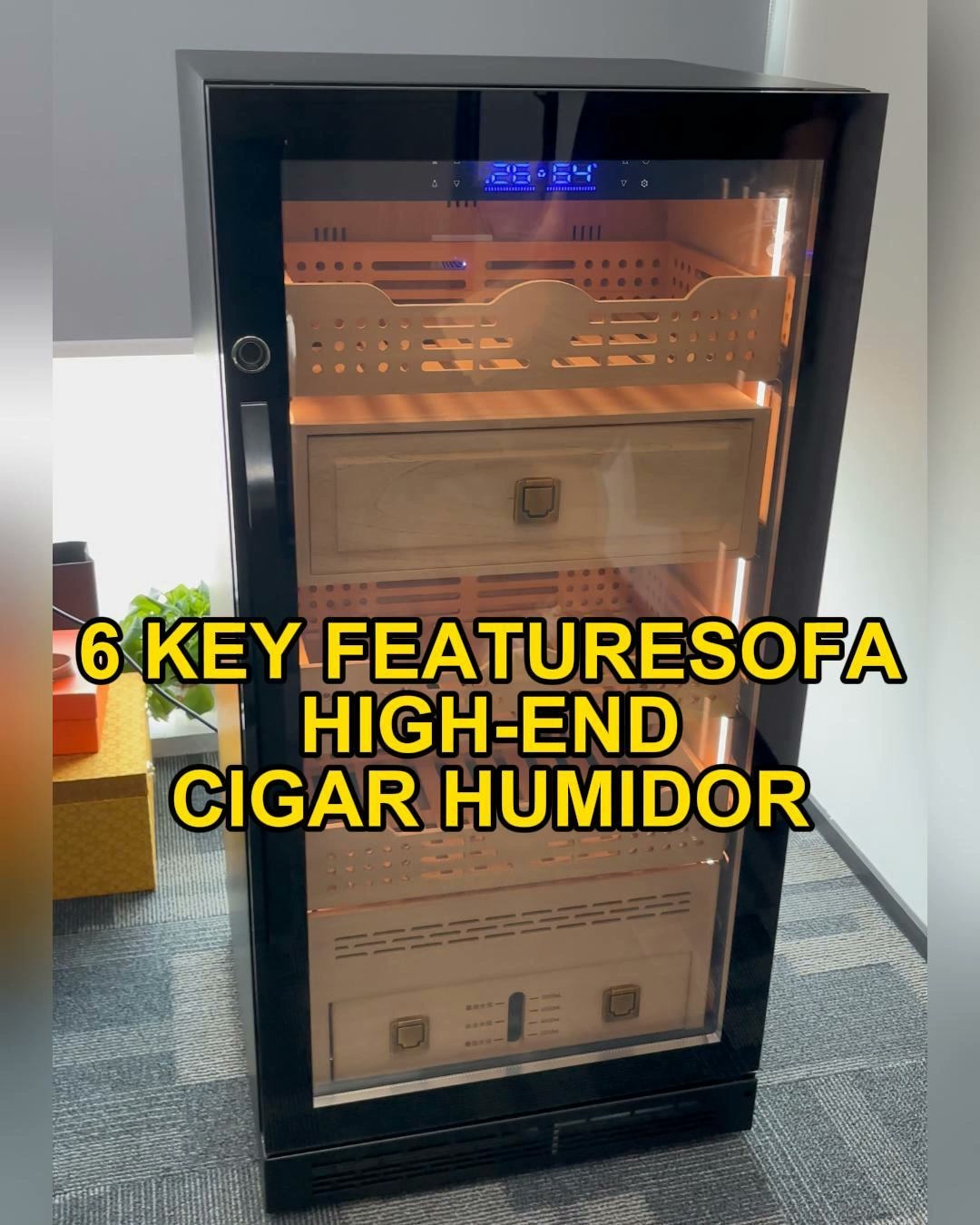Up to 1,000 Pieces. One Serious Collection Cabinet.