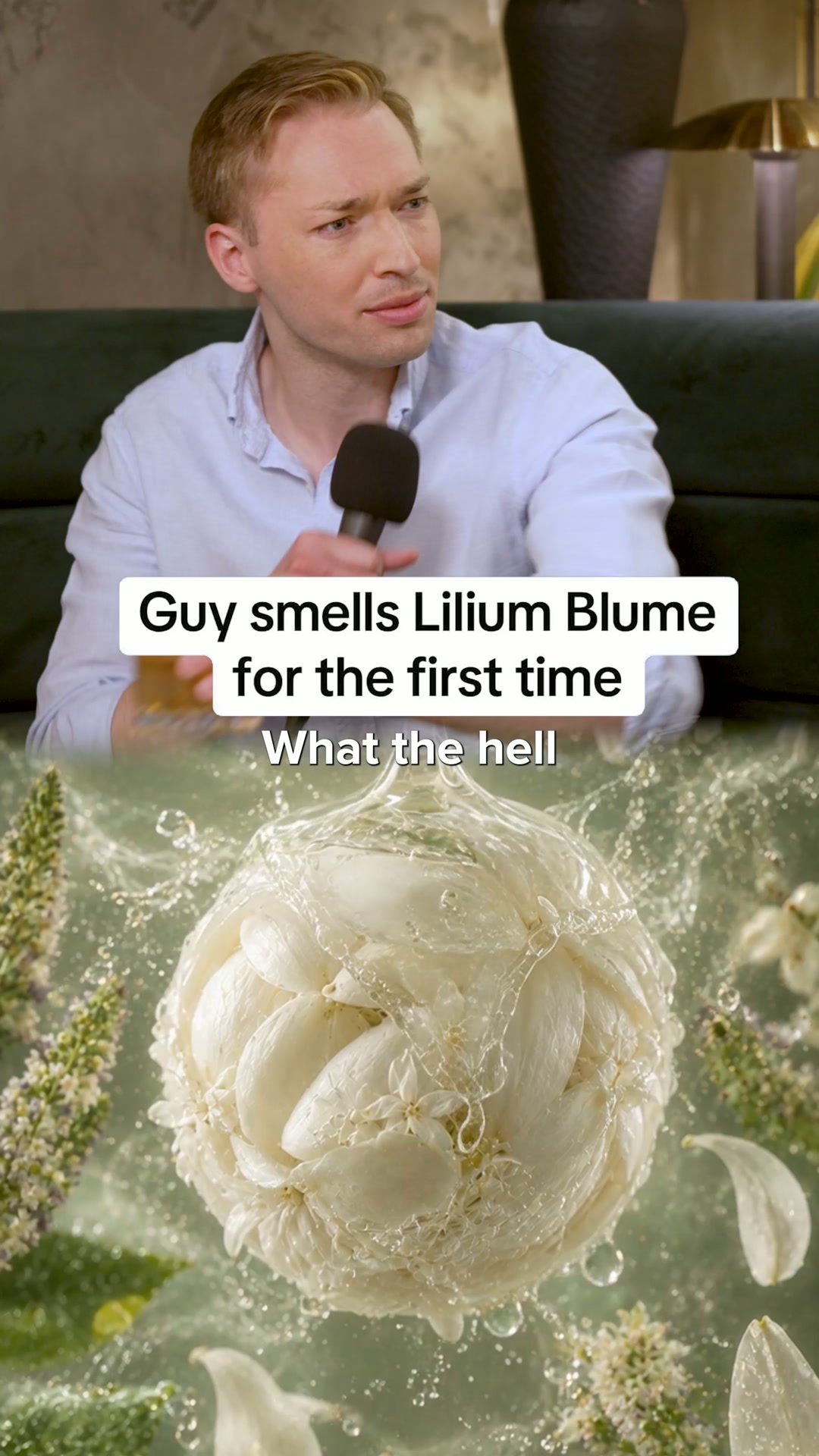 The Story Of Lilium Blume