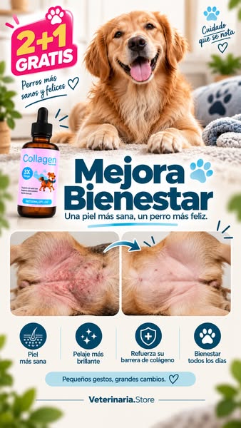 Mejora su bienestar con Colágeno 3X