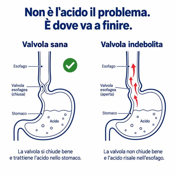 Basta mangiare in bianco