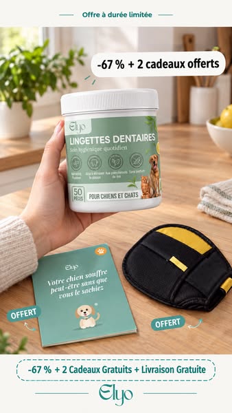 Offrez à votre chien une vie plus saine et plus heureuse