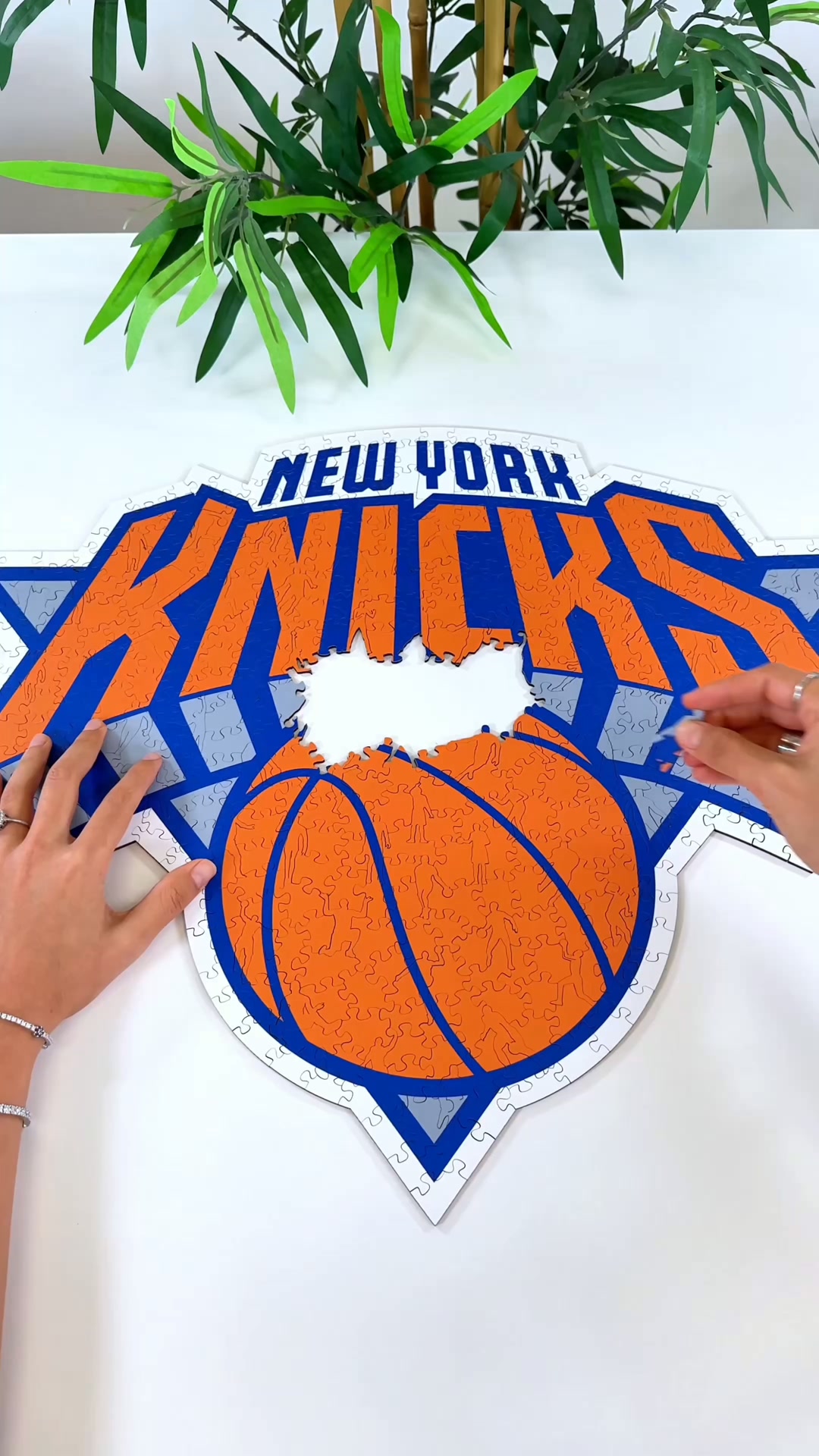 Sorprendi Un Vero Fan NBA