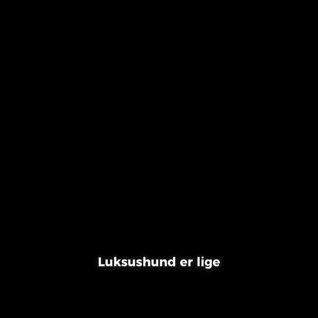Anúncio de Luksushund