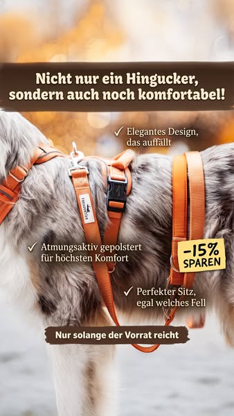 In 2-4 Tagen bei dir