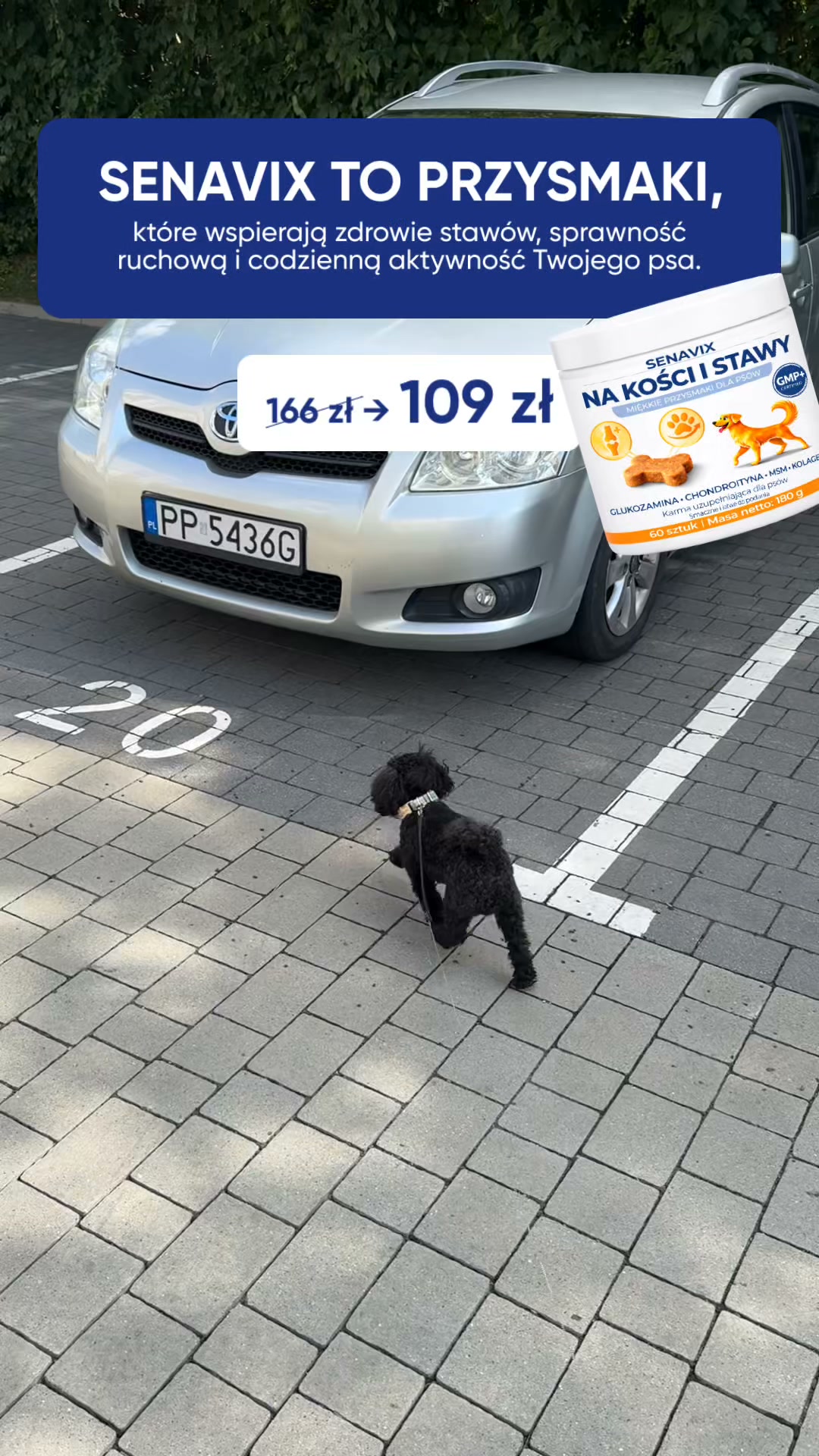 SENAVIX to funkcjonalne przysmaki
