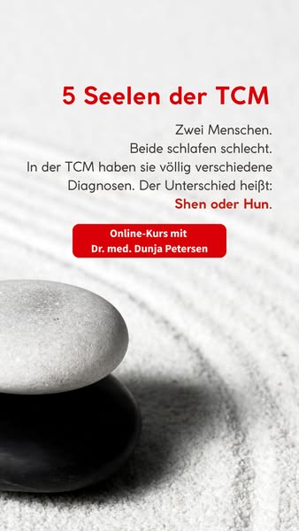 [NUR JETZT FÜR 49€] 5-Seelen-Kurs TCM