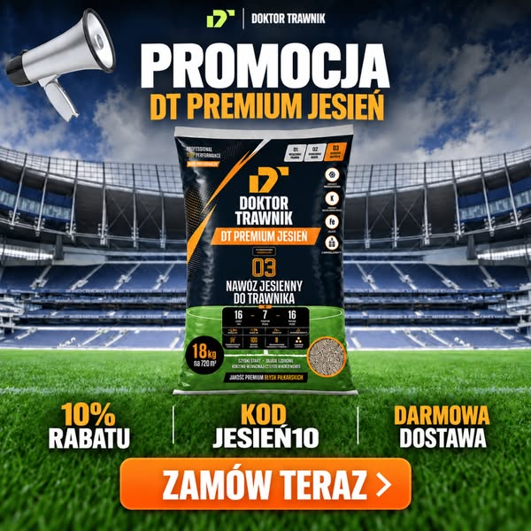 PROMOCJA DT Premium Jesień