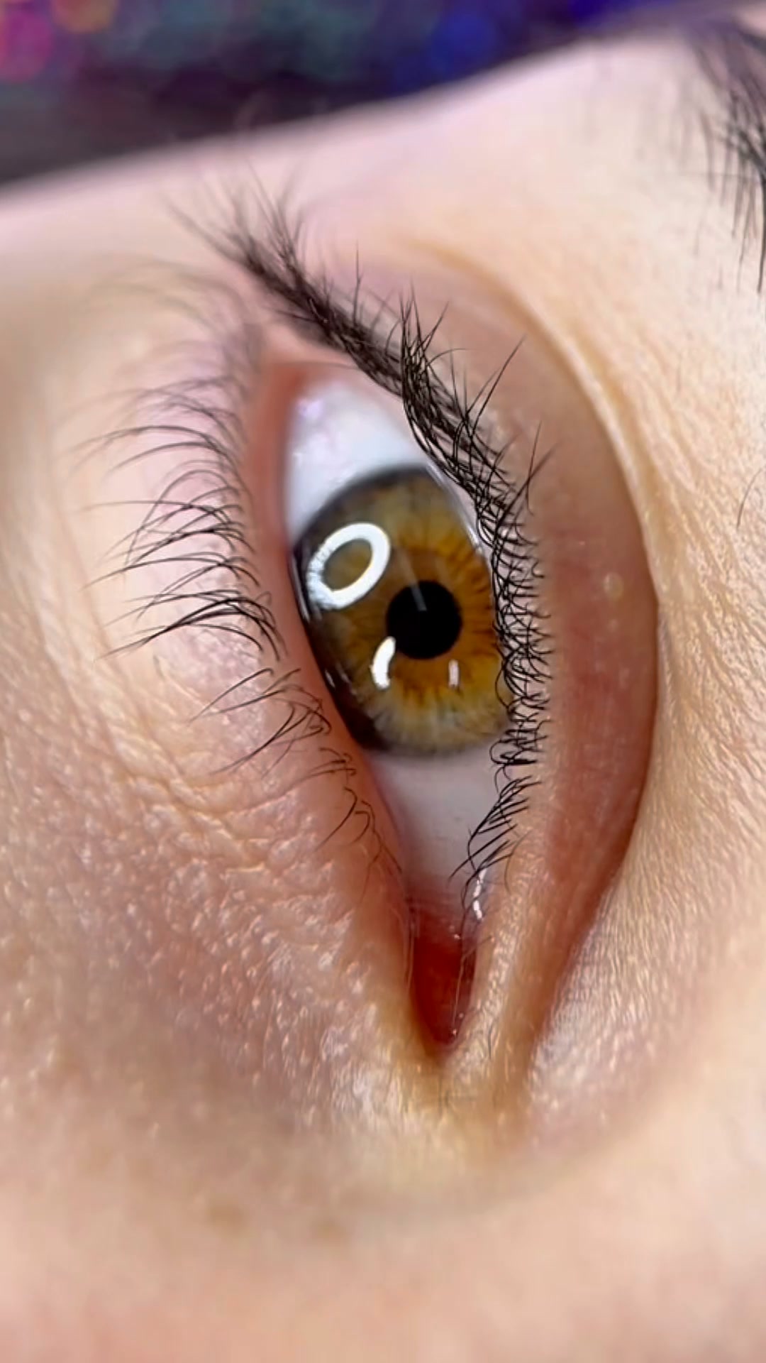 Stop Guessing Your Lash Lift