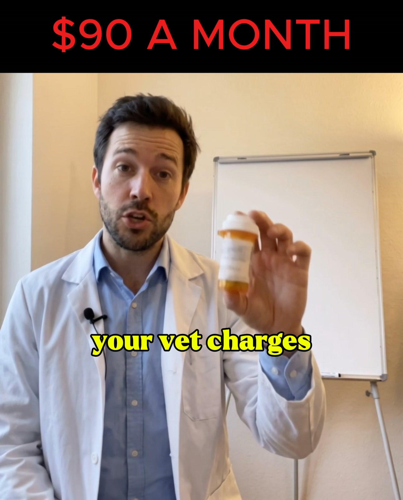 Dog Still Itching After Apoquel? Check the Gut.