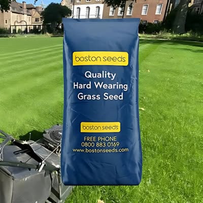 Bs Quality Hard Wearing Lawn Seed (1 X 20Kg)