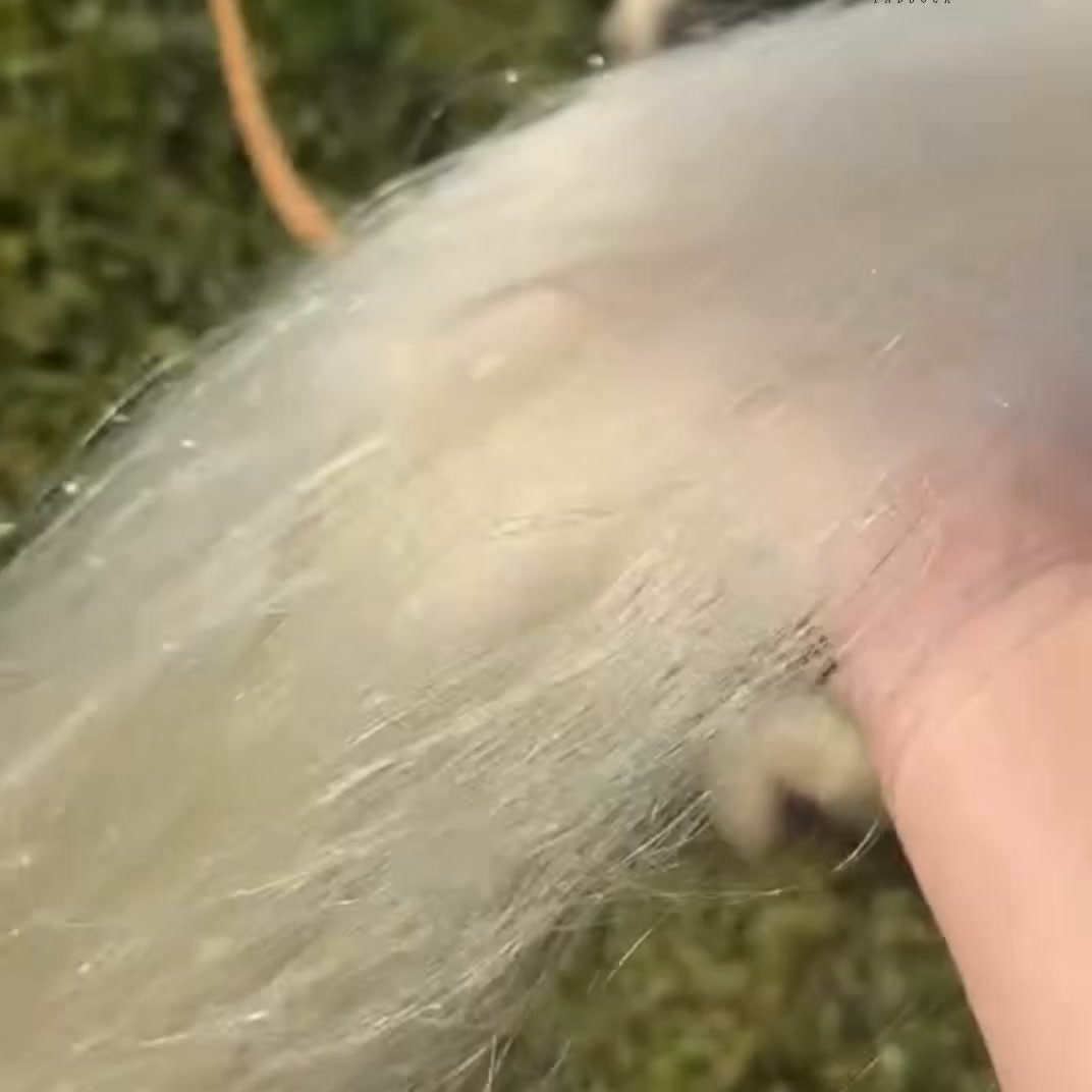 FINALLY. YOU CAN GET A BRUSH THROUGH IT.