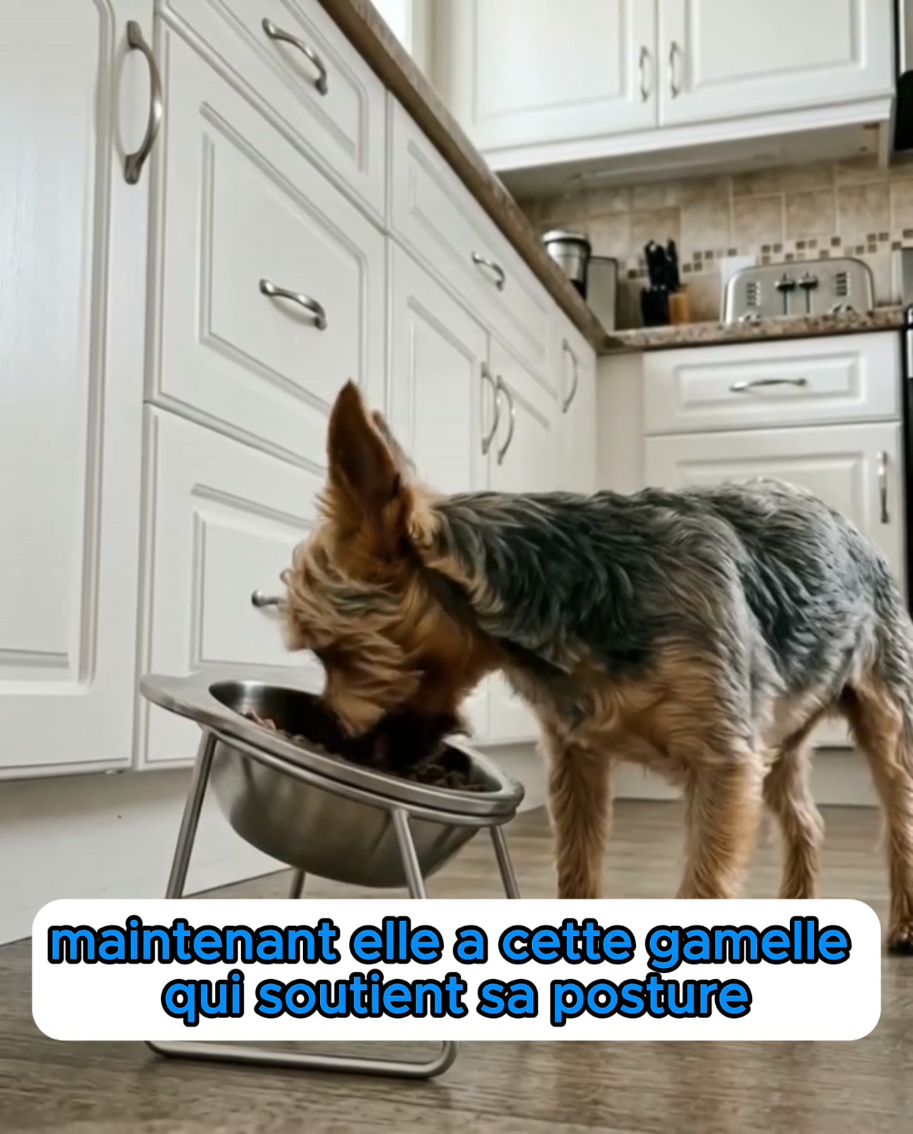 Ça part à la poubelle.