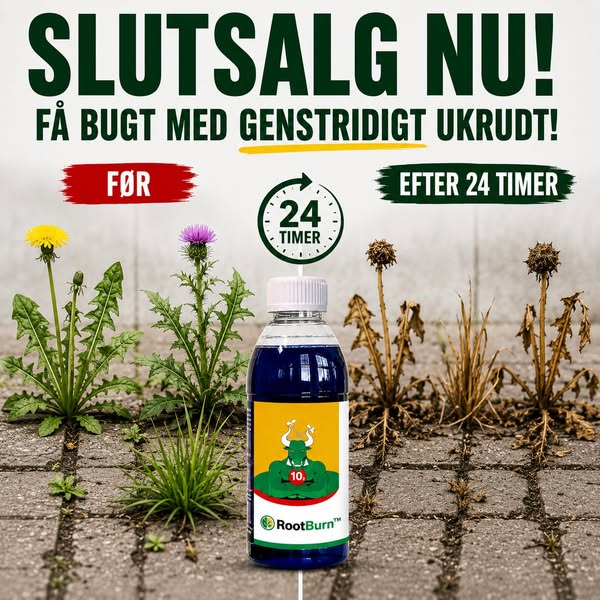 50 % rabatt idag