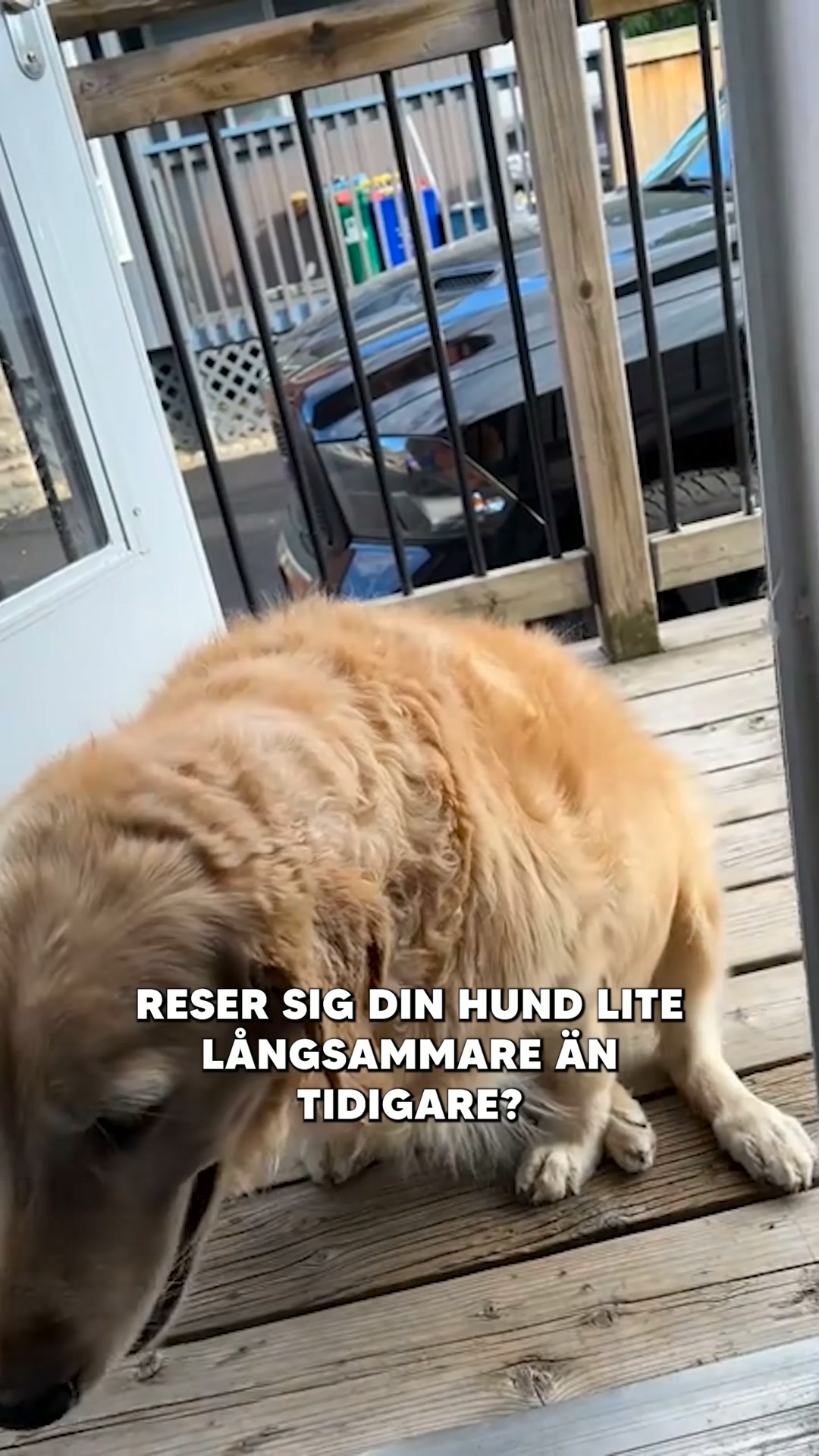 Om Du Känner Igen Några Av Dessa Tecken, Så Prova Det Här Effektiva Godiset