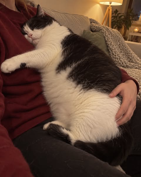 Das teuerste Futter hat sie nicht gerettet