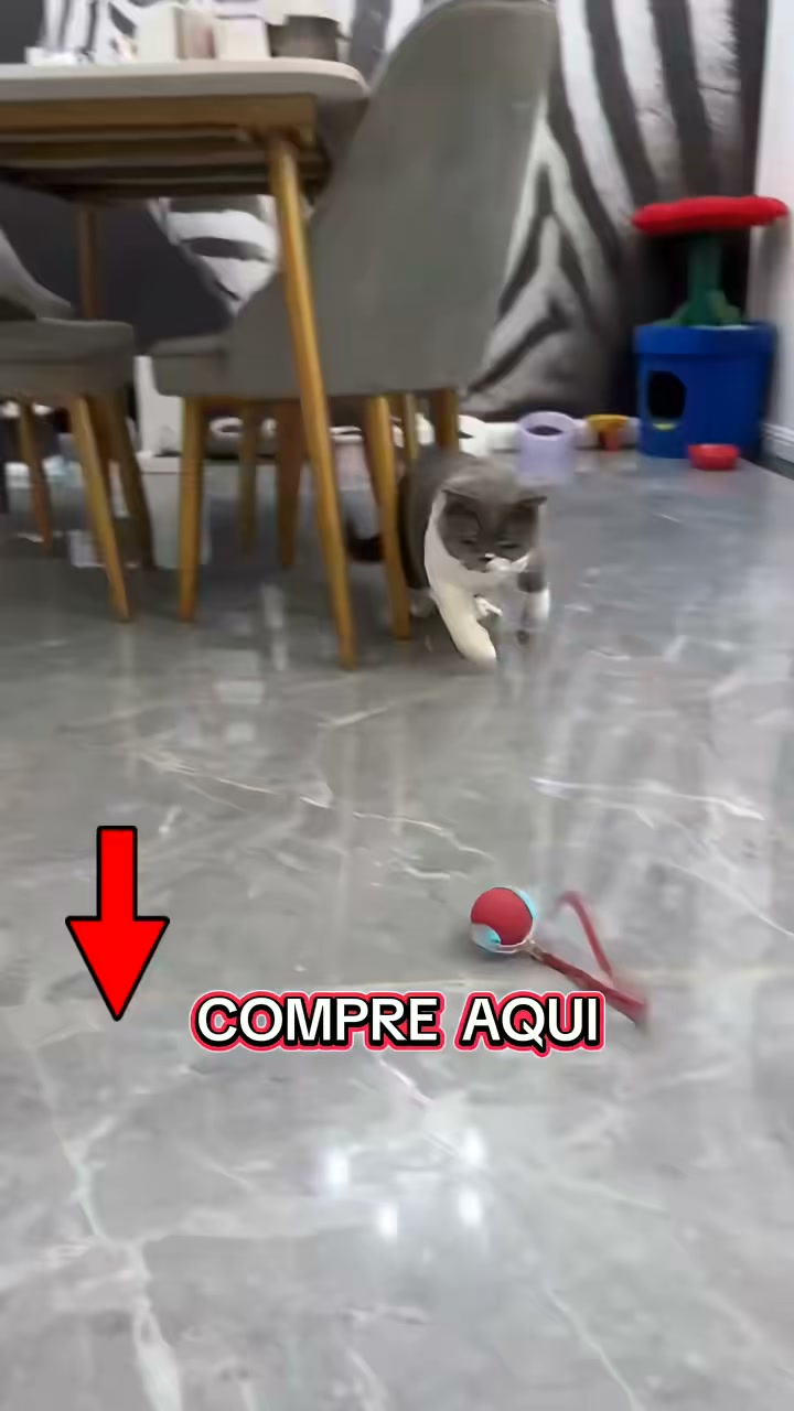 Agora PORTES GRÁTIS