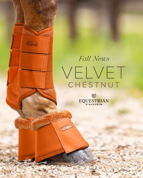 Fall's Softest Styles