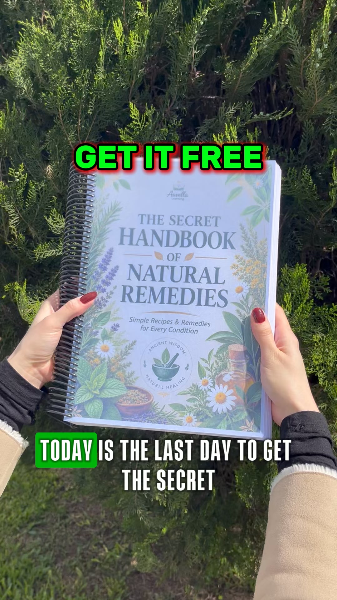 Get Your Handbook FREE Today