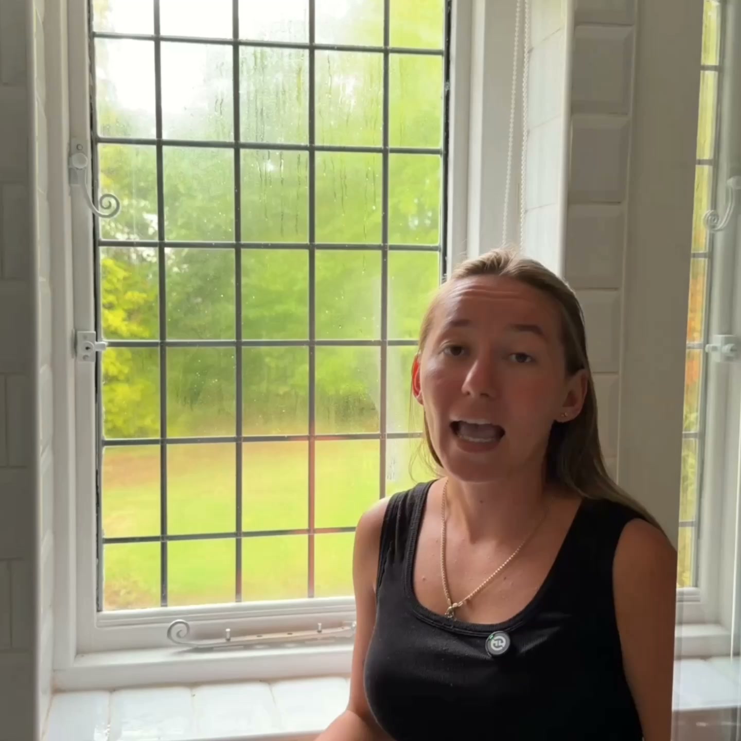 Condensation Window Vacuum | Streak-Free Results Fast
