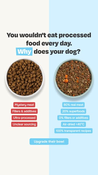 Done with ultra-processed food? So is your dog.