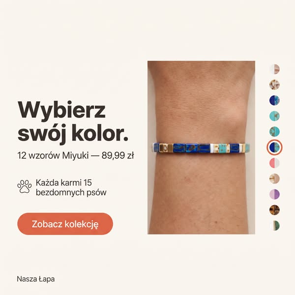 Zobacz wszystkie 12 wzorów