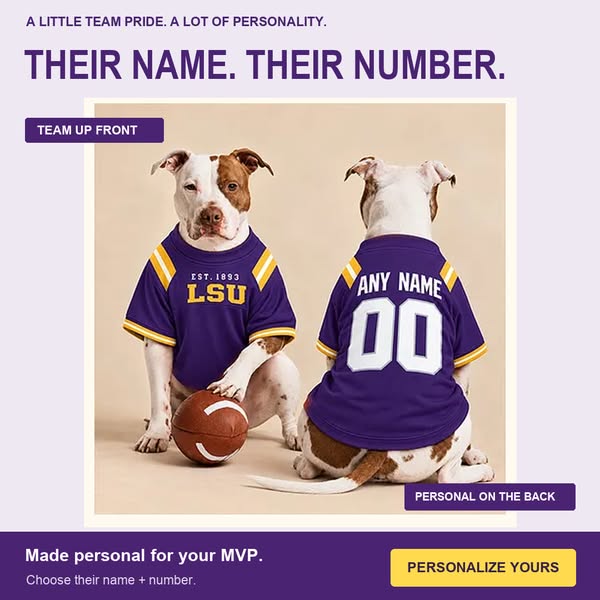Game Day Looks Good on Paws