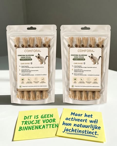 Je kat is niet gewoon rustig. Ze mist iets.
