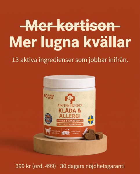 Du har provat allt. Det är inte ditt fel.